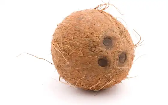 кокосовый, собственность