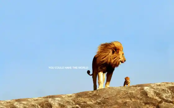 лев, животное, вдохновляющий, детскийш