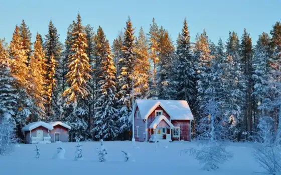 лес, зима, поляна, ложи, дом