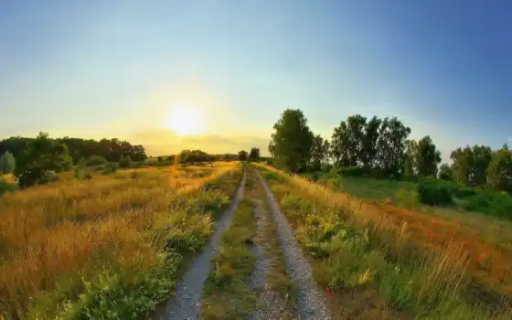 дорога, восход, солнце, лето, поляна, поле, 