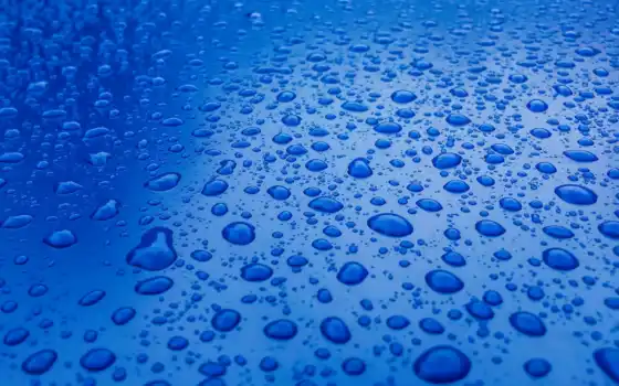drop, water, дождь