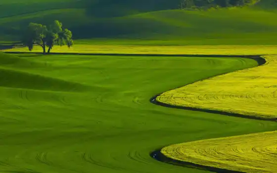 зелный, пейзаж, лето, яндекс, линия, карта, оттенок, цвет, поле