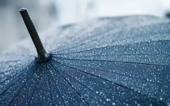 дождь, капли, зонтик, макро, 