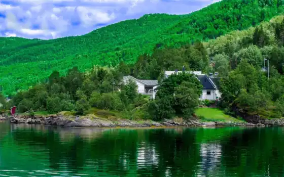 норвегия, пейзаж, река, лес, дома, холмы, свободно,