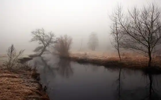вода, речка, пора, туман, берега, деревья, хмурое, утро, природа, 