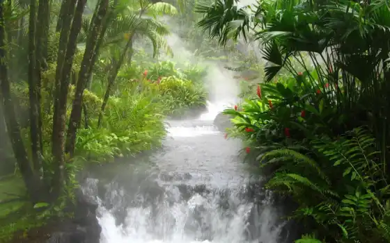 река, водопад, природа, впереди, джунгли, восток, ручей, пейзаж, тропический, водный