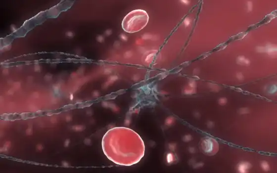 клетки, кровь, абстракция, красный, нейрон, генетические клетки, свободные, подвижные,