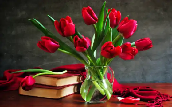 тюльпаны, марта, тюльпанов, цветы, красивые, букет, букеты, тюльпан, 