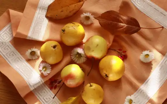 яблоко, плод, салфетка, осень, жизнь, еще, трапеза, груша