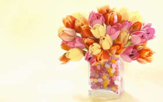 тюльпаны, букет, ваза, цветы, 
