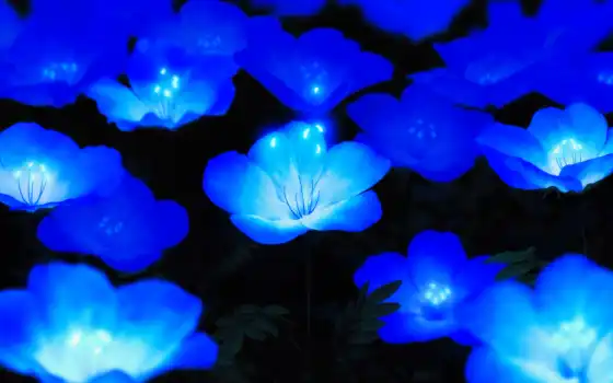 blue, cvety, цветы, который, любой, bloom