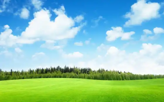 трава, abrakadabra, небо, зелёный