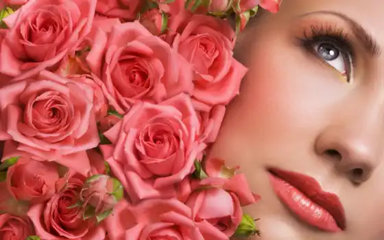 роз, лепестки, розы, лица, фотосессия, лепестков, роскошная, маски, 