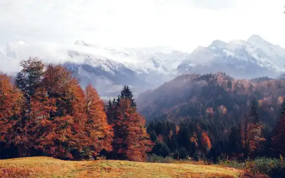 mountains, лес, осень, file, германия, можно, 