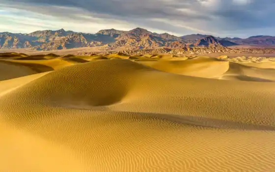 обычно, пустыня, дюн