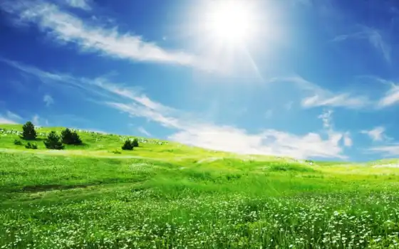 солнце, весна, голубое, поле, трава, солнце, трава, ленточная, облака,