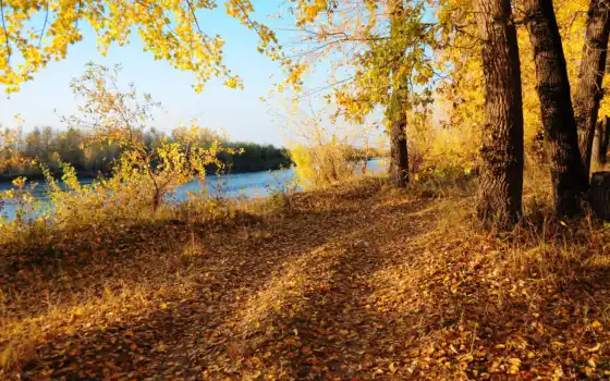 осень, дляэ, река, берется, цоколь, гороть, деревянный