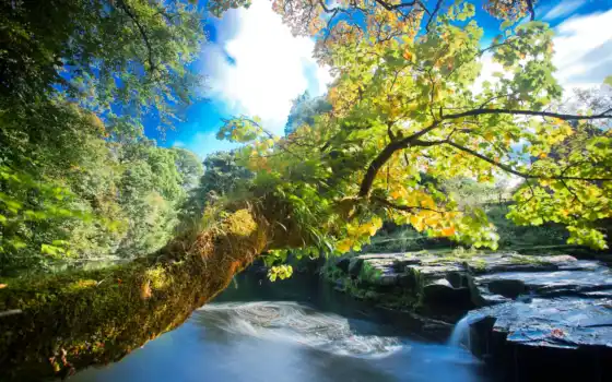 природа, водопад, деревья, река, осень, портал, скалы, категории, 