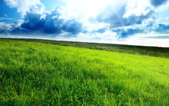 небо, трава, поле, красивое, зелёная, разных, облаками, голубое, 