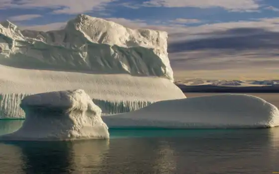 айсберг, море, законный лед, животное, бỏнг, арктика, рок