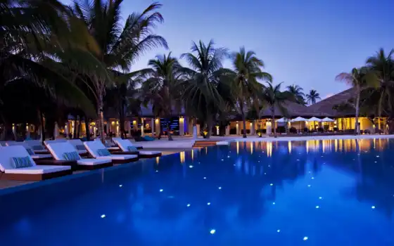 maldives, бассейн, отель, шезлонги, юмор, бассейны, океан, барару,
