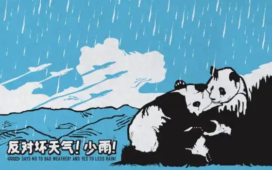 панда, дождь, white