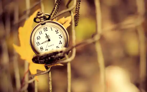 лист, часы, осень, природа, цепочке, favourite, 