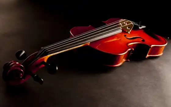 скрипка, инструмент, музы