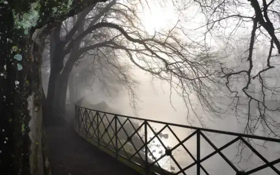 туман, река