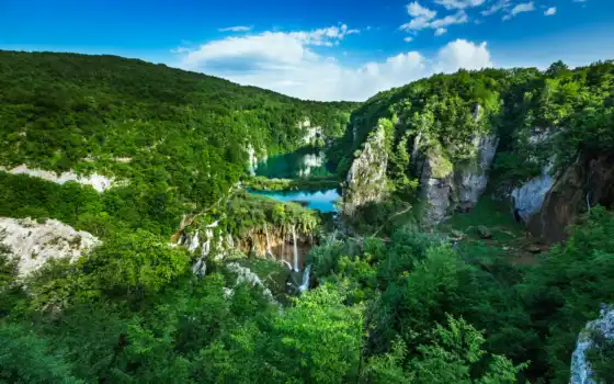 хорватия, мореплавание, лес, национальный, парк, город, городище, город, пейзаж,