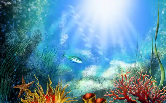 коралл, подводный мир, рыбы, мир, водоем, под, вода