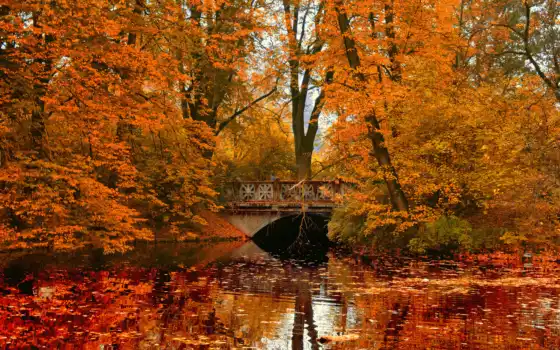 осень, парк, деревья, ливан, мост, река, след,
