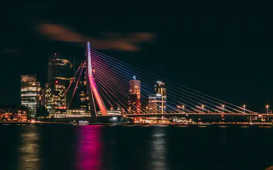 мост, ночь, esc, contest, роттердам, участница, город, cityscape