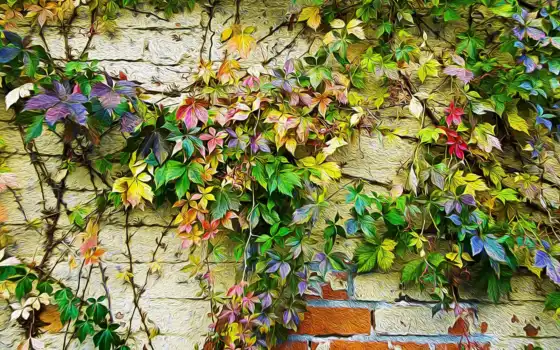 стена, лист, виноград, house