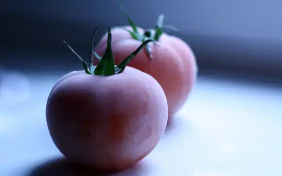 томатное, комбинированное, липовое, замораживание, является, качество,
