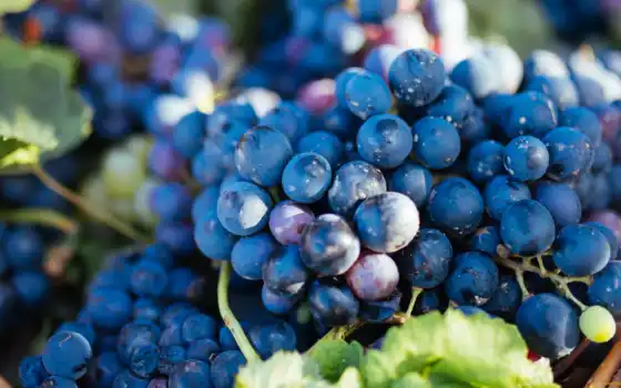 обои на рабочий стол, красивые картинки, картинки для ipad, обои для android