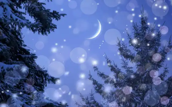 winter, ночь, луна, month, небо, снег, дерево