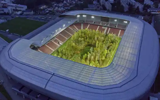 стадион, austrian, лес, soccer