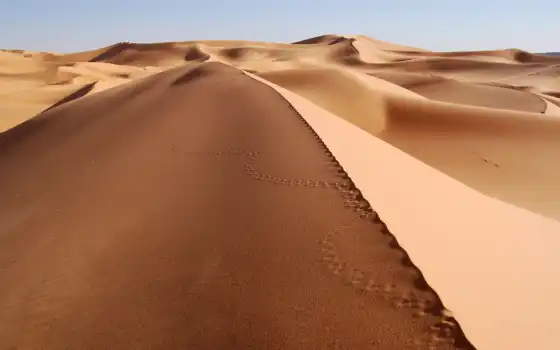 пустыня, пейзаж, песок, высокие, разрешение, фото, фото,