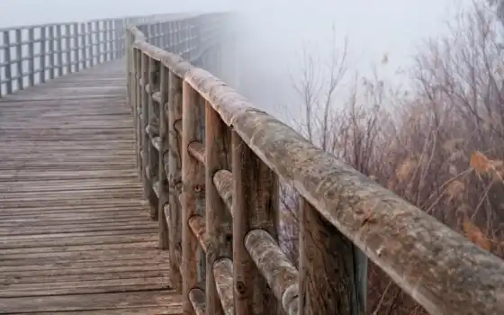 ,, древесина, мост, ограждение, дерево, туман, перила,