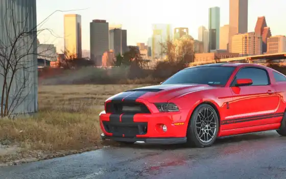 ,gt500,ford, shelby, mustang, cobra,