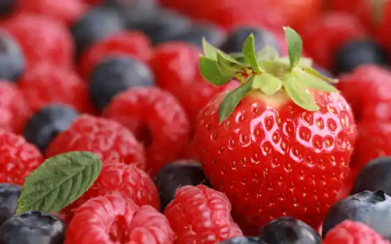ягоды, volgograd, клубника, черника, плод, 