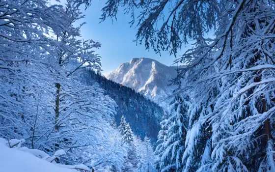 альпы, гора, австрия, ноутбук, озеро, природа