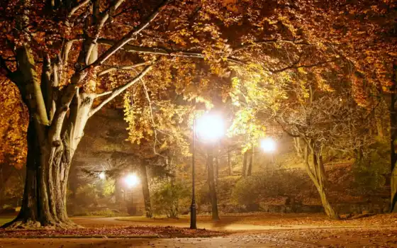 парк, осень, романтичный, романтический, романтический, романтический, художественный, сезон, русские, деревья, униформа, огни,