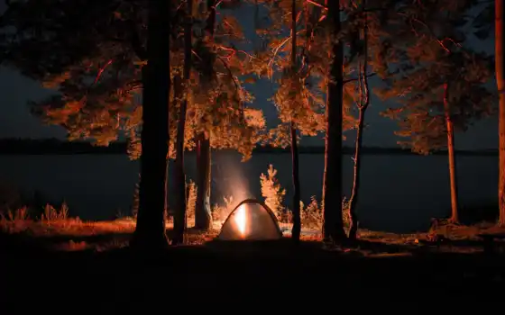 лес, kostryi, ночные, палатка, огонь, кемпинг
