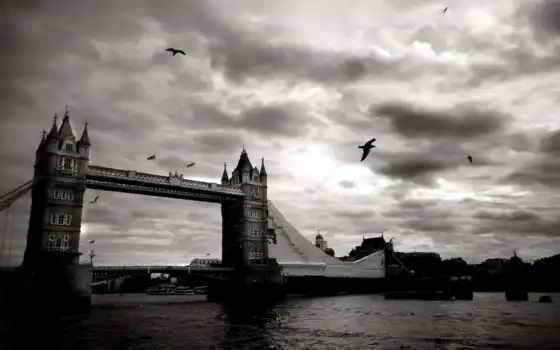 мост, город, white, black, тауэрский, london, небо