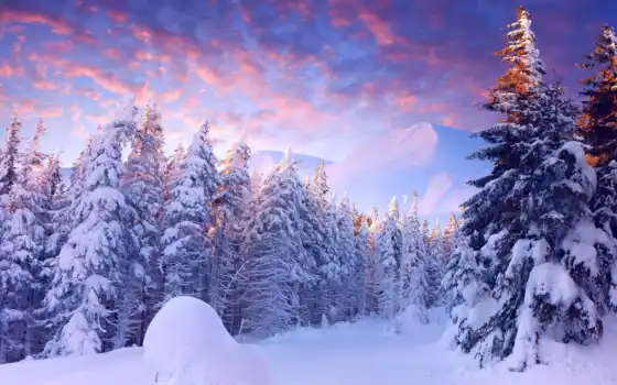 лес, зима, лес