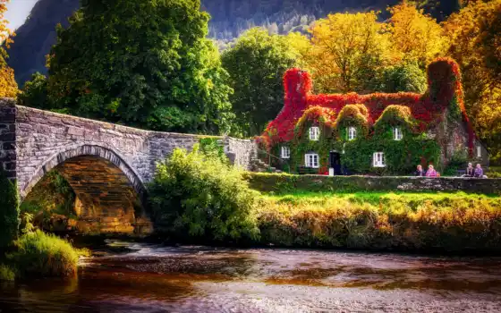 galles, llanrwst, conwy, paysage, pin, allemagne, palmier, wales, costa, rica, pays,