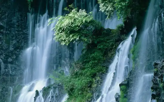водопад, japanese, krot