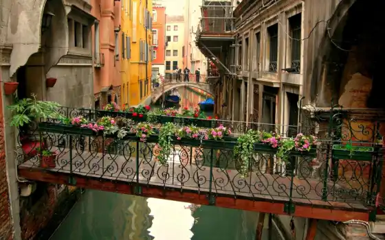 венеция, Италия, мост, канал, город, цветы